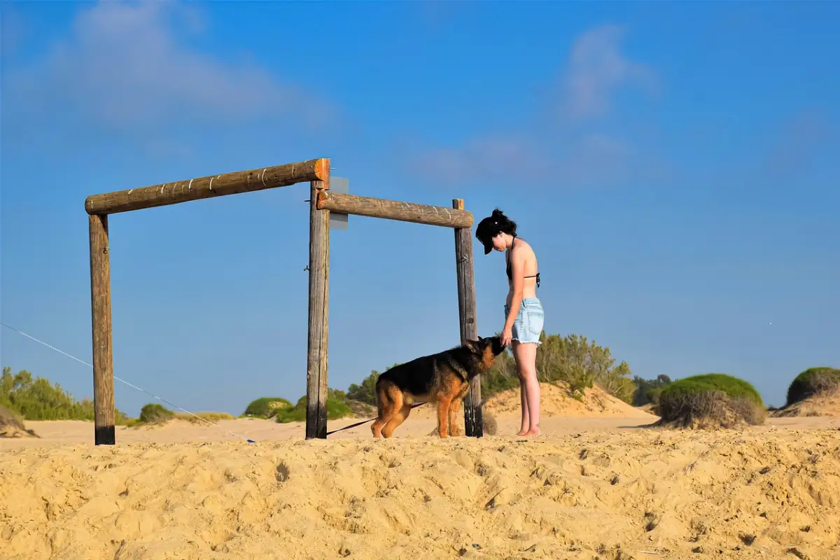 再会後に思い出したい会話のコツ